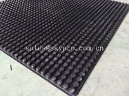 De ronde van het de hoogtemuntstuk van het nagel rubbermatwerk hoge rubber vlotte matten
