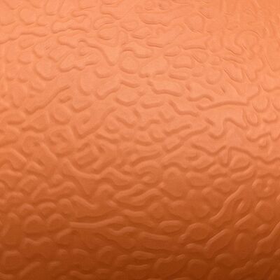 3,5 mm 5,0 mm dikke PVC-vloer voor balletstudio met kleurrijk ontwerp en waterdicht antislip oppervlak